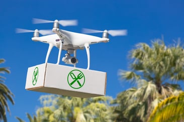 drones_food_delivery