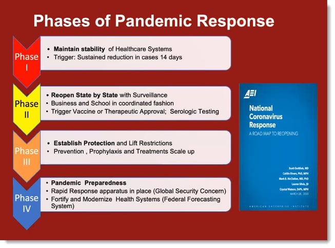 pandemic phases